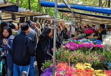 Flower market at Marché Président Wilson